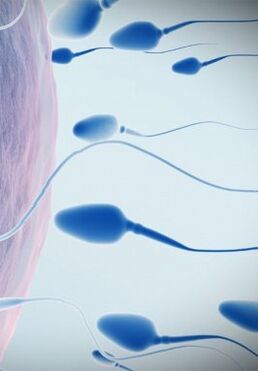 Spermogram for low potency