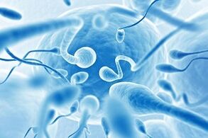 semen secreted in men during arousal