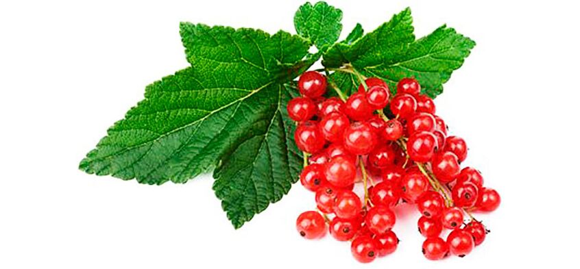 red currants to increase potency